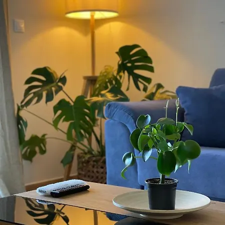 Cosy With Sea View Close To The شقة *