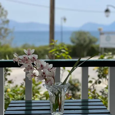 Cosy With Sea View Close To The * Nikiana