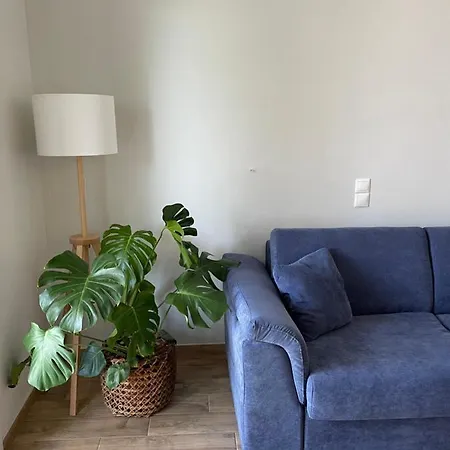 Apartment Cosy With Sea View Close To The *